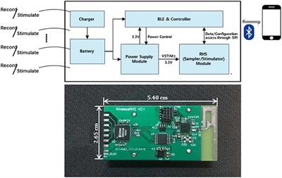 A system of real-time neural recording and stimulation and its potential application in blood pressure modulation